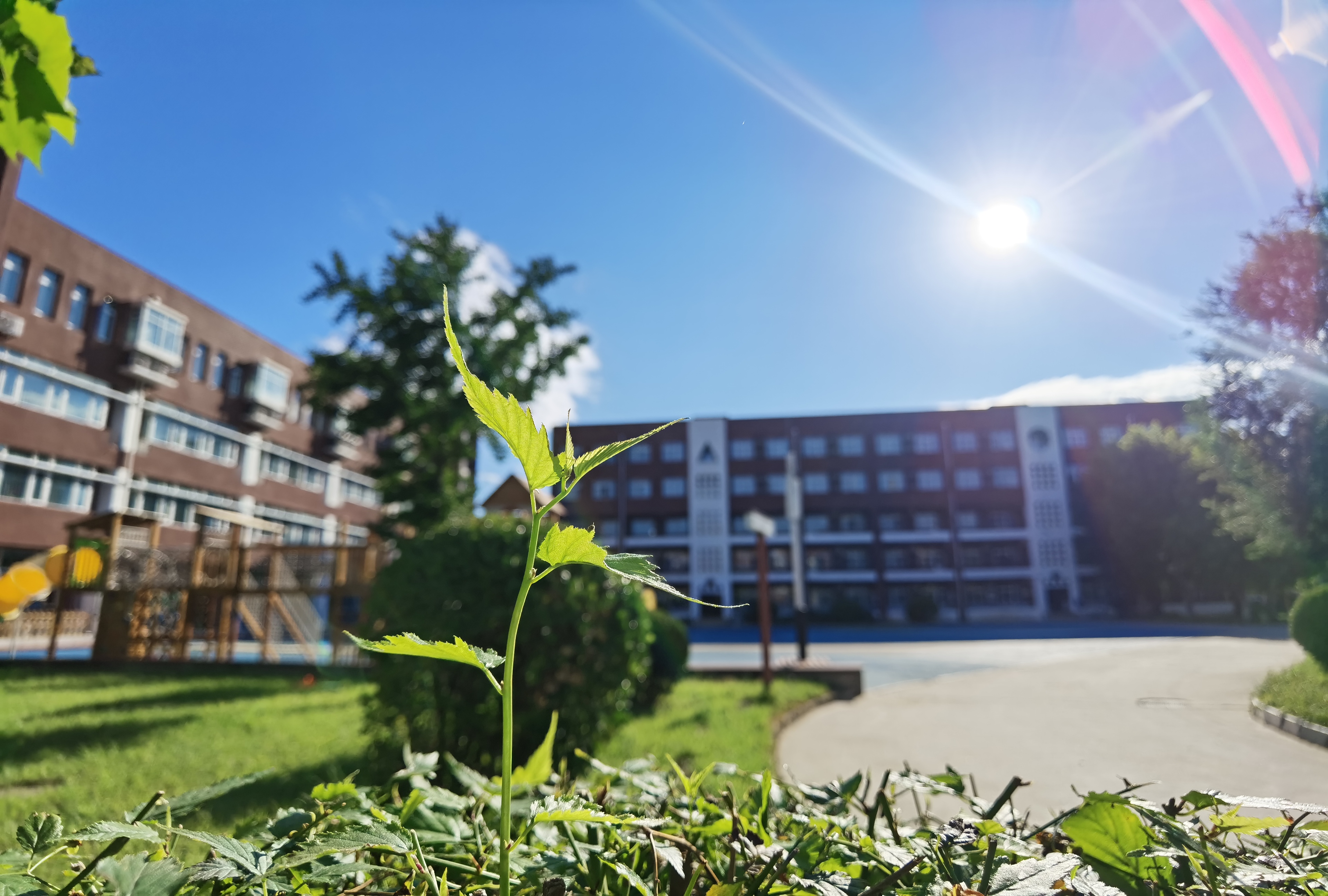 新学期校园焕然一新,开学你准备好了吗?