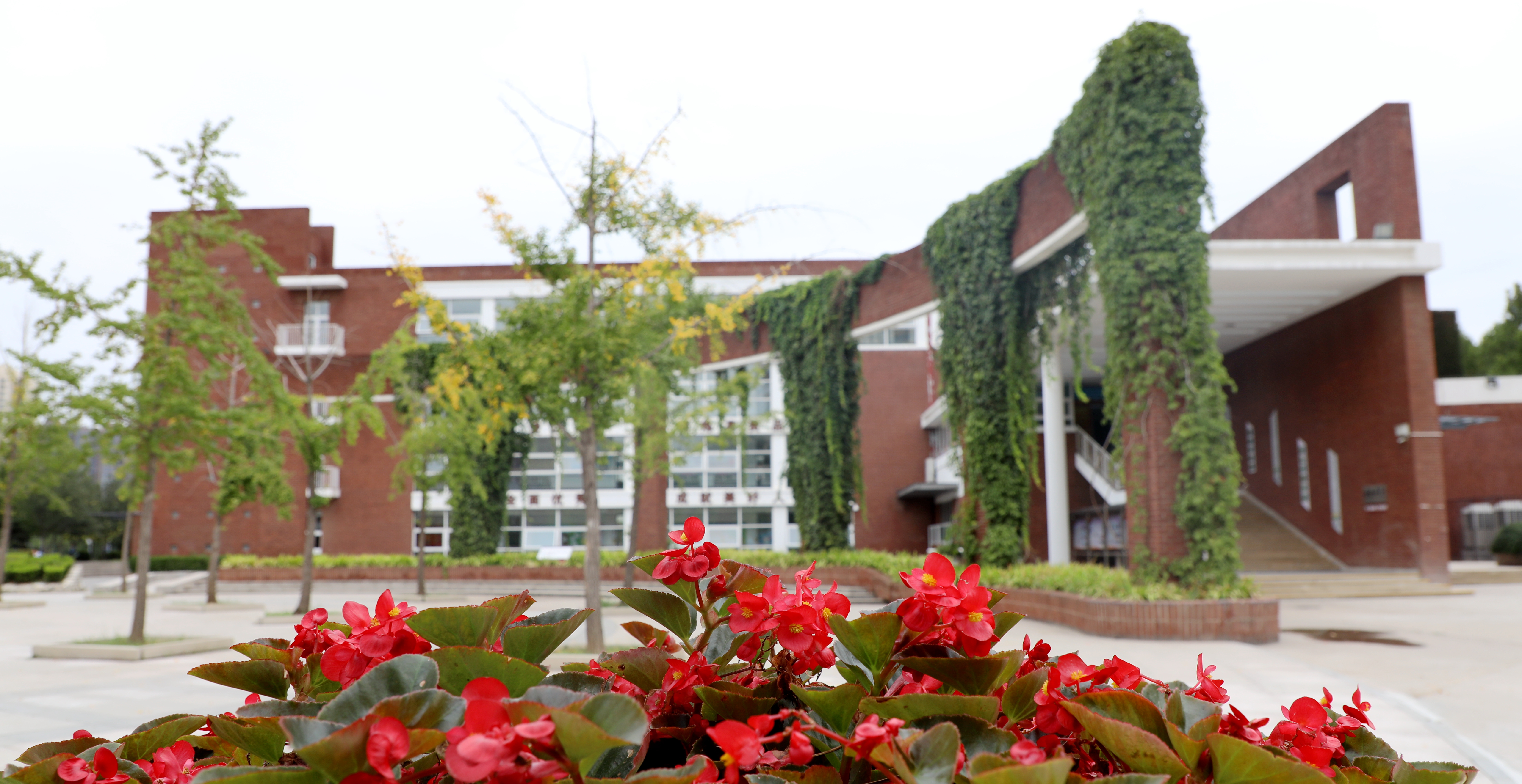 校园风景与校园文化-北京外国语大学附属外国语学校