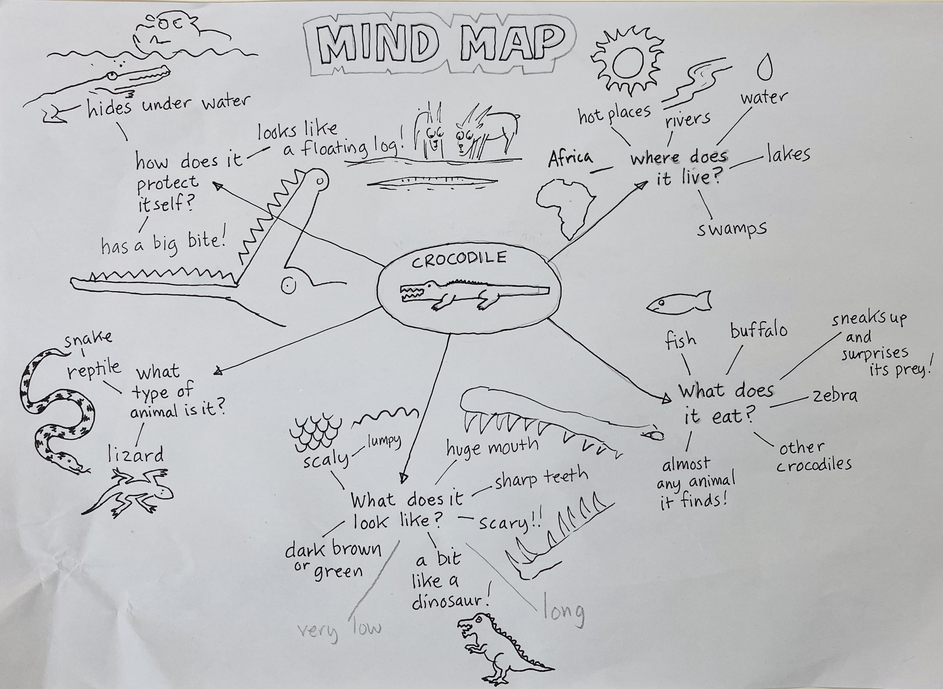 外语特色活动 >> 正文(上图为:外教eoin绘制的动物科普思维导图) eoin