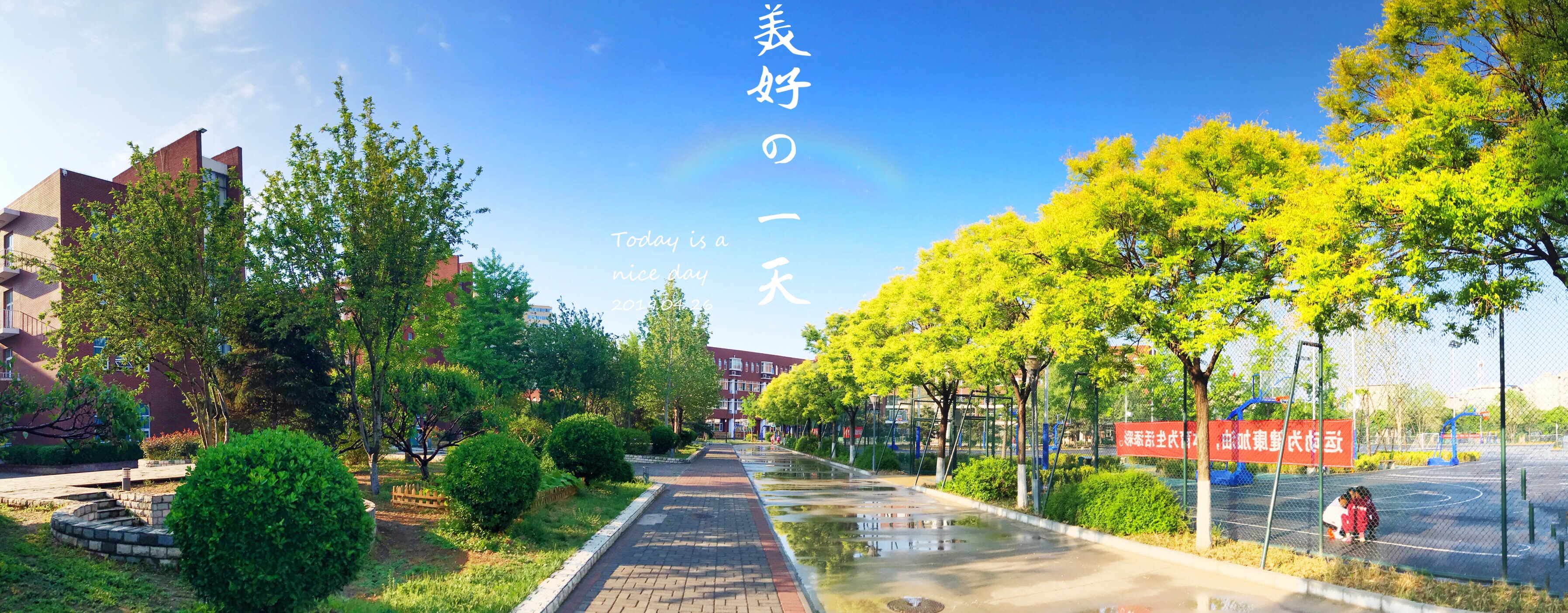 校园风景与校园文化